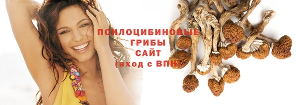 бошки Алзамай