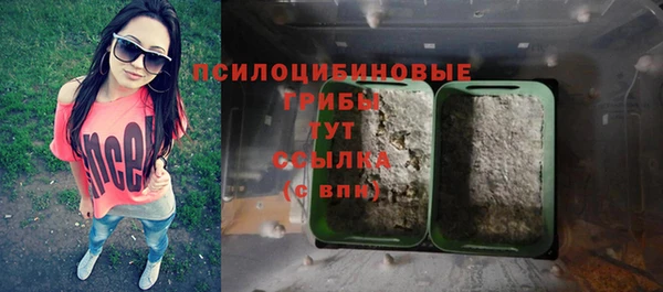 ГАЛЛЮЦИНОГЕННЫЕ ГРИБЫ Абаза