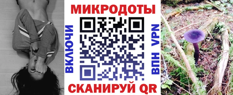 купить   Солигалич  Галлюциногенные грибы ЛСД 